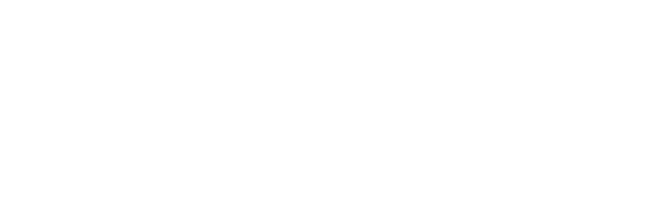 logo light